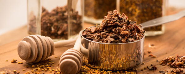 PROPOLIS