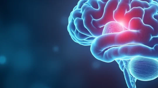 study-links-alzheimer-s-disease-to-circadian-rhythms